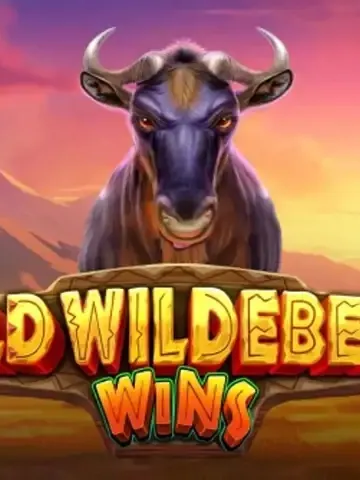 Wild Wildebeest Wins